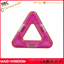 Enlighten Triangle Magformers